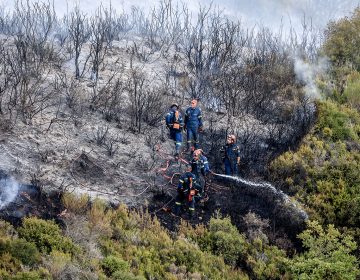 Χωρίς ενεργό μέτωπο η φωτιά στην Αγιά Λάρισας – Αυξημένη επιφυλακή για τυχόν αναζωπυρώσεις