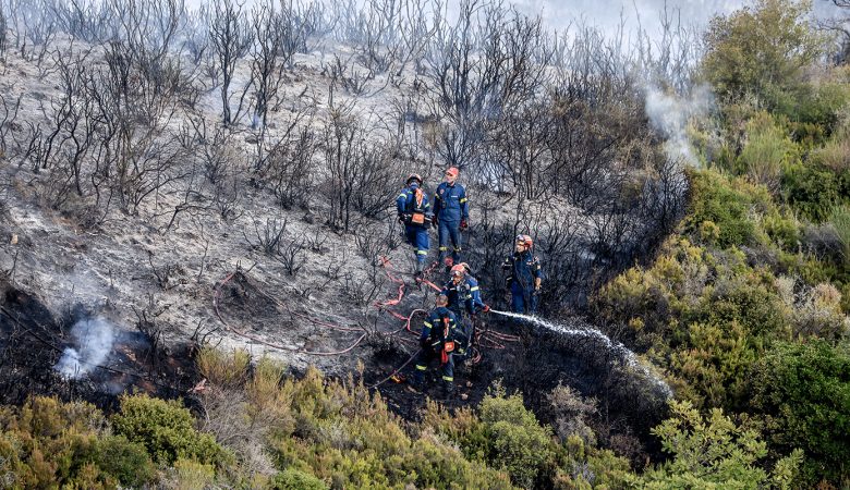 Χωρίς ενεργό μέτωπο η φωτιά στην Αγιά Λάρισας – Αυξημένη επιφυλακή για τυχόν αναζωπυρώσεις