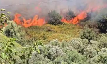 Φωτιά στο Μονολίθι Πρέβεζας – Μήνυμα του 112