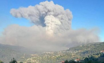 Σε κατάσταση συναγερμού η Πορτογαλία για τρεις μεγάλες δασικές πυρκαγιές