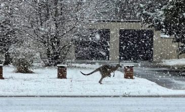 Ακραία καιρικά φαινόμενα στην Αυστραλία: Ένα σπάνιο στρώμα χιονιού κάλυψε πόλεις της ανατολικής χώρας