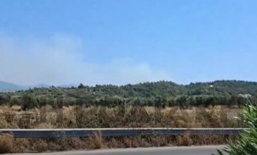 Φωτιά ξέσπασε ανάμεσα στα χωριά Σορωνή και Φάνες, στη Ρόδο