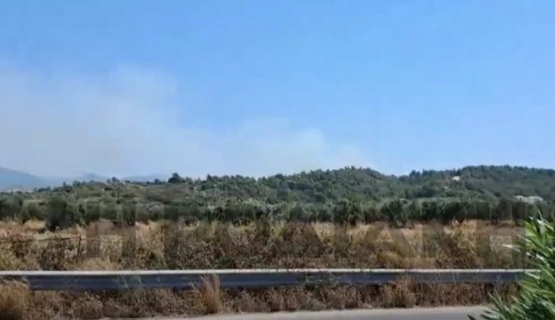 Φωτιά ξέσπασε ανάμεσα στα χωριά Σορωνή και Φάνες, στη Ρόδο