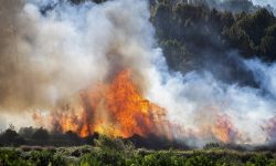 Μεγάλη φωτιά σε δασική έκταση στην Ισπανία – Εκκενώθηκαν εσπευσμένα ξενοδοχεία και κατασκηνώσεις