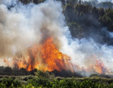Μεγάλη φωτιά σε δασική έκταση στην Ισπανία – Εκκενώθηκαν εσπευσμένα ξενοδοχεία και κατασκηνώσεις