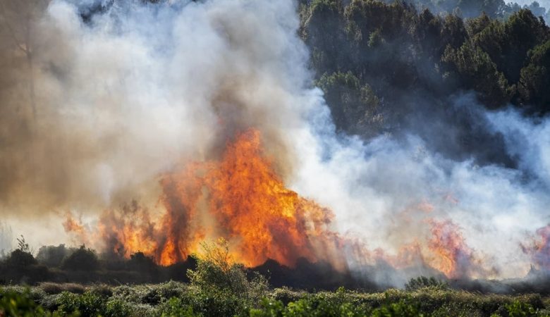 Μεγάλη φωτιά σε δασική έκταση στην Ισπανία – Εκκενώθηκαν εσπευσμένα ξενοδοχεία και κατασκηνώσεις