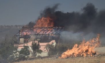 Μεγάλη φωτιά στην Κερατέα: Κάηκε άνθρωπος στο Τογάνι – Μάχη με τις φλόγες δίνουν οι πυροσβέστες