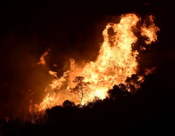 Ολονύκτια μάχη με την φωτιά στην Κερατέα: Το πύρινο μέτωπο εκτείνεται στα 5 χιλιόμετρα