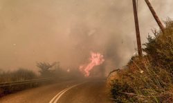 Σε εξέλιξη φωτιά στο Χελιδόνι Ηλείας – Μήνυμα από το 112