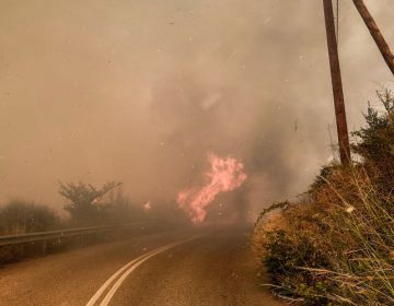 Σε εξέλιξη φωτιά στο Χελιδόνι Ηλείας – Μήνυμα από το 112