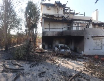 Κρανίου τόπος η Ανατολική Αττική: Αποτεφρώθηκαν 40.000 στρέμματα από τη φωτιά στην Κερατέα
