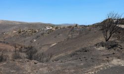 Τι κάηκε από τη φωτιά στην Κερατέα – Η ανάλυση της Υπηρεσίας Copernicus για την πληγείσα έκταση