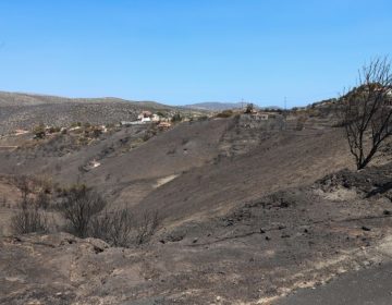 Τι κάηκε από τη φωτιά στην Κερατέα – Η ανάλυση της Υπηρεσίας Copernicus για την πληγείσα έκταση – Σώθηκε ο Εθνικός Δρυμός Σουνίου