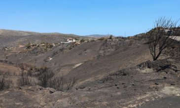 Τι κάηκε από τη φωτιά στην Κερατέα – Η ανάλυση της Υπηρεσίας Copernicus για την πληγείσα έκταση – Σώθηκε ο Εθνικός Δρυμός Σουνίου