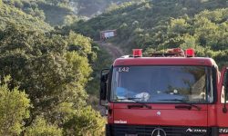 Σε ύφεση η φωτιά στα Πετράλωνα της Μεσσηνίας