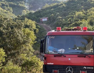 Σε ύφεση η φωτιά στα Πετράλωνα της Μεσσηνίας
