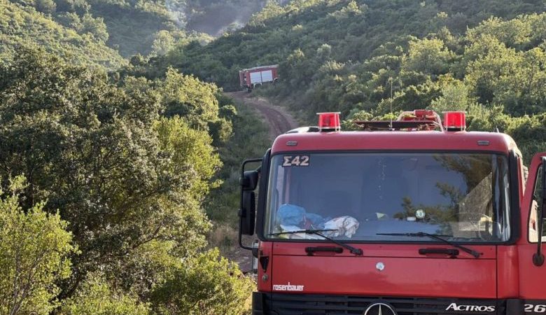 Φωτιά στην περιοχή Ποταμιά-Πισπιλούντα στην Χίο – Υπό πλήρη έλεγχο στην Λέσβο