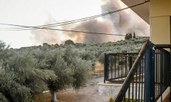 Μεγάλη φωτιά στην Αχαΐα: «Μάχη» για να μη φτάσουν οι φλόγες στη ΒΙΠΕ – Ένας εγκαυματίας στο νοσοκομείο