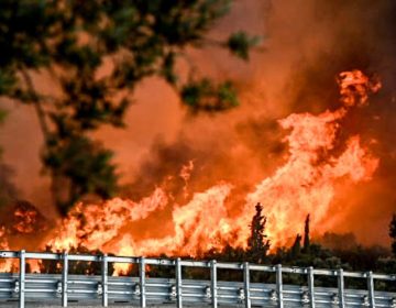 «Κόλαση» στην Αχαΐα: Τρεις φωτιές σε εξέλιξη – Πνέουν άνεμοι με ριπές 9 μποφόρ