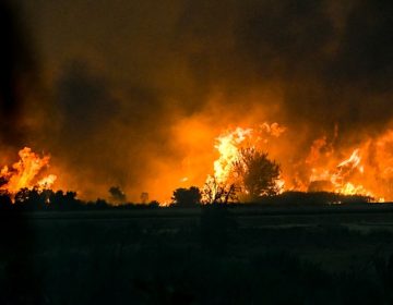 Μήνυμα του 112 για απομάκρυνση των κατοίκων της Κάτω Αχαΐας προς Πύργο, λόγω της μεγάλης φωτιάς