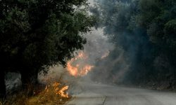 Πύρινη λαίλαπα απειλεί τον δήμο Ζηρού στην Πρέβεζα – Ήχησε το 112 ακόμη και στην Φιλιππιάδα
