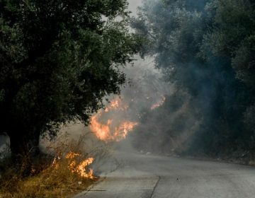 Πύρινη λαίλαπα απειλεί τον δήμο Ζηρού στην Πρέβεζα – Ήχησε το 112 ακόμη και στην Φιλιππιάδα