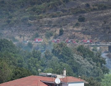 Σε ύφεση οι φωτιές σε Πρέβεζα και Άρτα