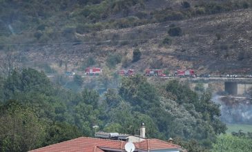Σε ύφεση οι φωτιές σε Πρέβεζα και Άρτα
