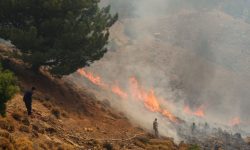 Δύο τα πύρινα μέτωπα στην Χίο – Μήνυμα για εκκένωση της Σπαρτούντας προς Καρδάμυλα