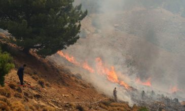 Δύο τα πύρινα μέτωπα στην Χίο – Μήνυμα για εκκένωση της Σπαρτούντας προς Καρδάμυλα