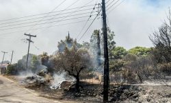Φωτιές σε Ζάκυνθο και Αχαΐα: Νέα μηνύματα του 112 στους κατοίκους