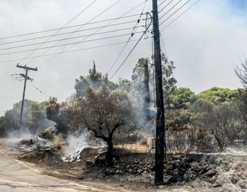 Φωτιές σε Ζάκυνθο και Αχαΐα: Νέα μηνύματα του 112 στους κατοίκους