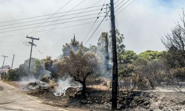 Φωτιές σε Ζάκυνθο και Αχαΐα: Νέα μηνύματα του 112 στους κατοίκους