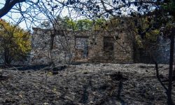 Επίθεση του Γιάννη Κεφαλογιάννη στον δήμαρχο Πατρέων: «Στάθηκε κατώτερος των περιστάσεων – Δεν θα επιτρέψουμε άλλο Μάτι»