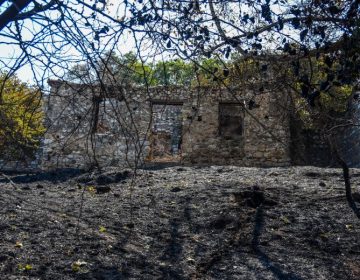 Επίθεση του Γιάννη Κεφαλογιάννη στον δήμαρχο Πατρέων: «Στάθηκε κατώτερος των περιστάσεων – Δεν θα επιτρέψουμε άλλο Μάτι»