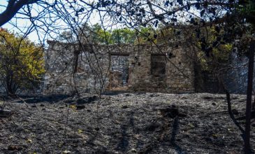 Επίθεση του Γιάννη Κεφαλογιάννη στον δήμαρχο Πατρέων: «Στάθηκε κατώτερος των περιστάσεων – Δεν θα επιτρέψουμε άλλο Μάτι»