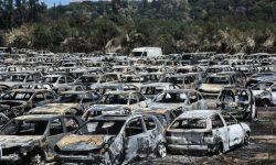 Ξεκίνησαν οι αυτοψίες στις πυρόπληκτες περιοχές Αχαΐας, Πρέβεζας, Χίου, Ζακύνθου και Αιτωλοακαρνανίας