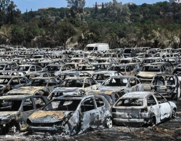 Ξεκίνησαν οι αυτοψίες στις πυρόπληκτες περιοχές Αχαΐας, Πρέβεζας, Χίου, Ζακύνθου και Αιτωλοακαρνανίας
