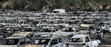Ξεκίνησαν οι αυτοψίες στις πυρόπληκτες περιοχές Αχαΐας, Πρέβεζας, Χίου, Ζακύνθου και Αιτωλοακαρνανίας