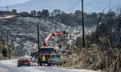 Φωτιά στην Αχαΐα: Χωρίς ενεργό μέτωπο στην περιοχή των Συχαινών