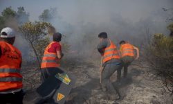 Οριοθετήθηκε η μεγάλη δασική φωτιά στο βόρειο Μαρόκο