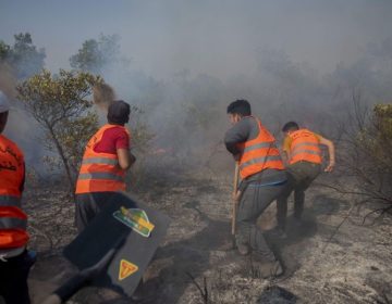 Οριοθετήθηκε η μεγάλη δασική φωτιά στο βόρειο Μαρόκο