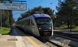 Η αμαξοστοιχία IC55 παρέσυρε κοπάδι ζώων στην σιδηροδρομική γραμμή μετά την περιοχή Αλιάρτου