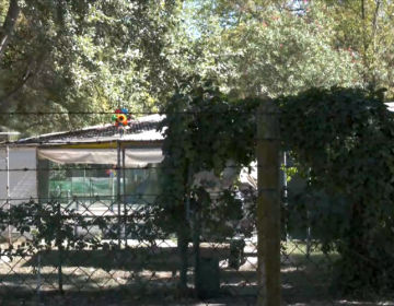 Έγιναν 25 συλλήψεις για ναρκωτικά σε φεστιβάλ στην Ασπροβάλτα