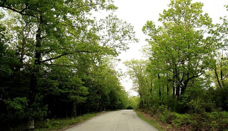 Απαγόρευση κυκλοφορίας σε περιοχές της Χαλκιδικής, λόγω υψηλού κινδύνου εκδήλωσης φωτιάς