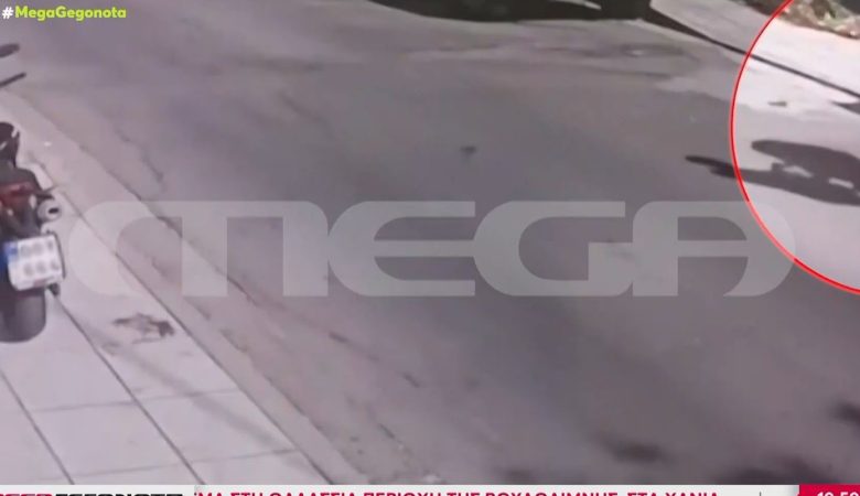 Ρατσιστικό το κίνητρο του 17χρονου που άρπαξε μωρό και το άφησε σε καρότσι σούπερ μάρκετ – Θεωρούσε πως οι γυναίκες Ρομά «δεν προσέχουν τα παιδιά τους»