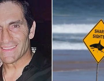 «Μην με δαγκώσεις»: Τα τελευταία λόγια του ομογενή στον καρχαρία πριν την επίθεση