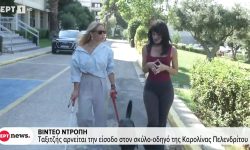 Σάλος με ταξιτζή που αρνήθηκε κούρσα σε Παραολυμπιονίκη, λόγω του σκύλου οδηγού της –  «Σε κάνουν να νιώθεις ότι δεν έχεις ισότιμη θέση στην κοινωνία»