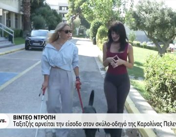 Σάλος με ταξιτζή που αρνήθηκε κούρσα σε Παραολυμπιονίκη, λόγω του σκύλου οδηγού της –  «Σε κάνουν να νιώθεις ότι δεν έχεις ισότιμη θέση στην κοινωνία»