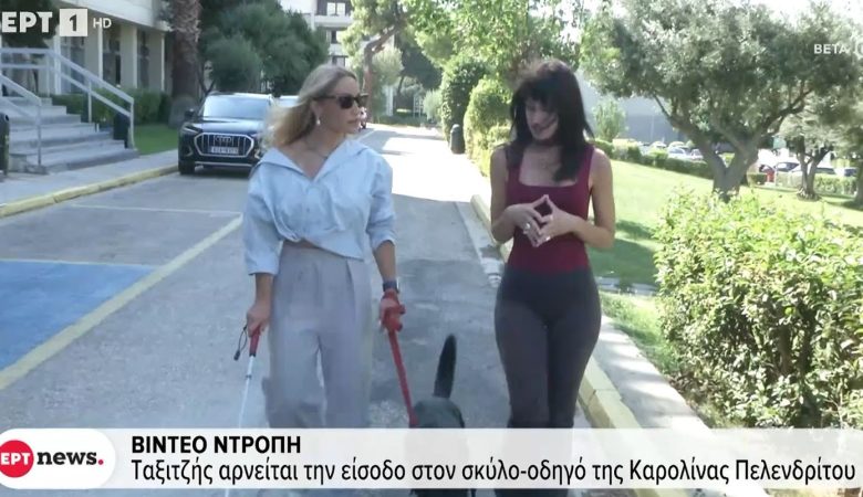 Σάλος με ταξιτζή που αρνήθηκε κούρσα σε Παραολυμπιονίκη, λόγω του σκύλου οδηγού της –  «Σε κάνουν να νιώθεις ότι δεν έχεις ισότιμη θέση στην κοινωνία»